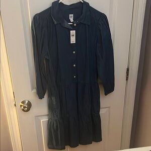 Blue Button-Up Dress